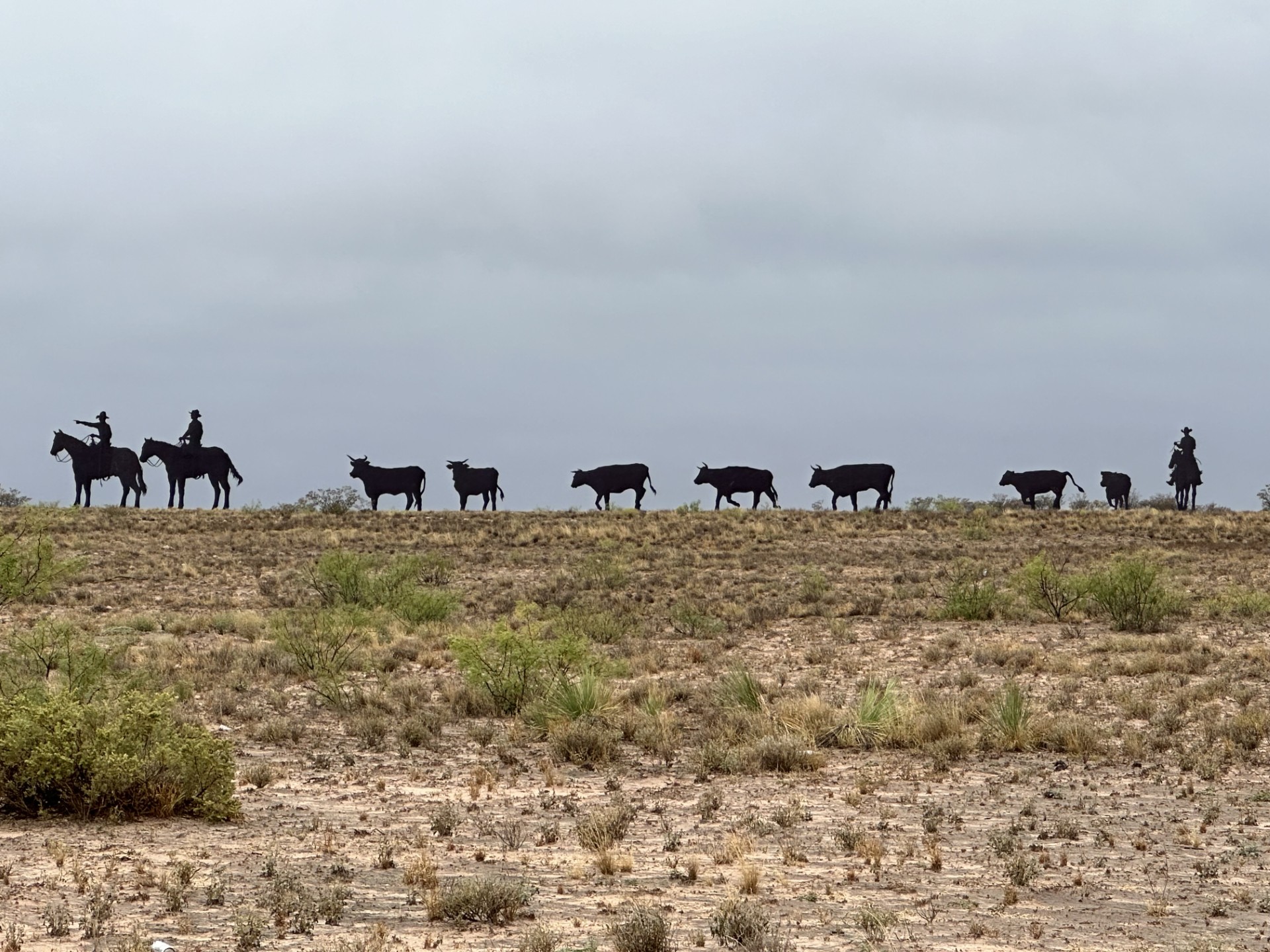 Jal Thumbnail IMG 7090
